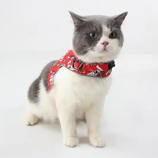 Moda Dünyasında Cat Yelek: Şıklık ve Konforun Modern ve Klasik Seçenekleri