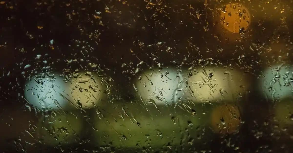 Moda Dünyasında Logolu Markaların Yükselişi ve Trendleri Analizi