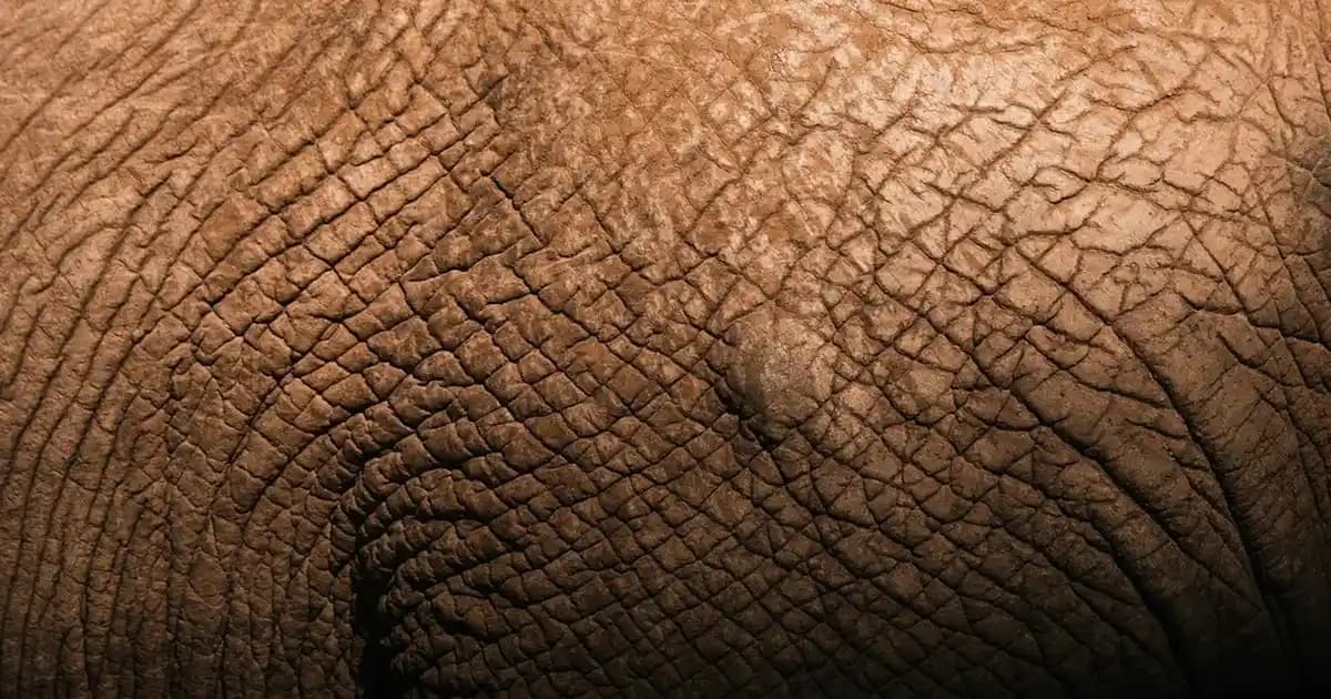 Bej Okul Pantolonları: Çocuklar İçin Fonksiyonel ve Şık Okul Kıyafetleri Seçenekleri