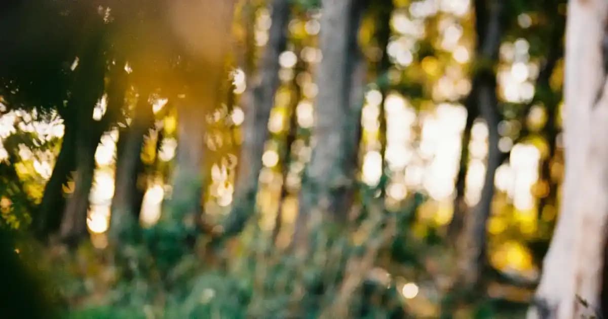 Büyük Beden Nikah Elbisesi Seçerken Dikkat Edilmesi Gerekenler ve Moda Trendleri