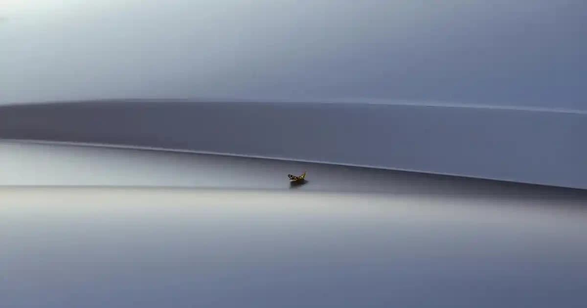 Çift Taraflı Polar Montlar: Çok Yönlü ve Şık Kış Giyim Seçenekleri