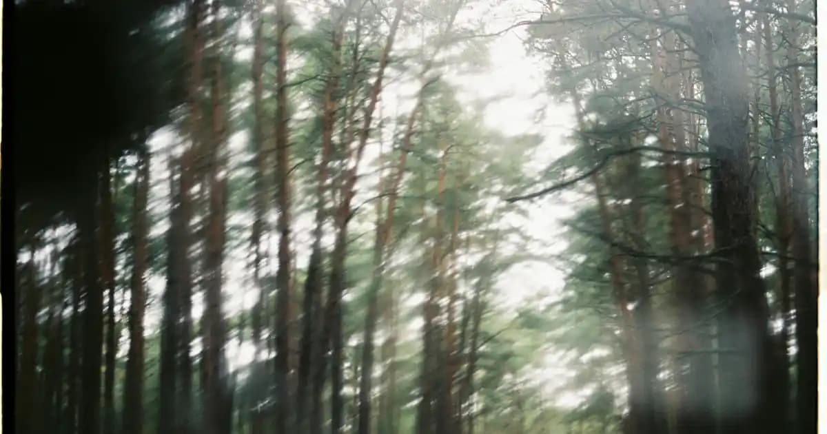 Çocuklar İçin Deri Ceketleri: Moda ve Konforun Uyumlu Birlikteliği