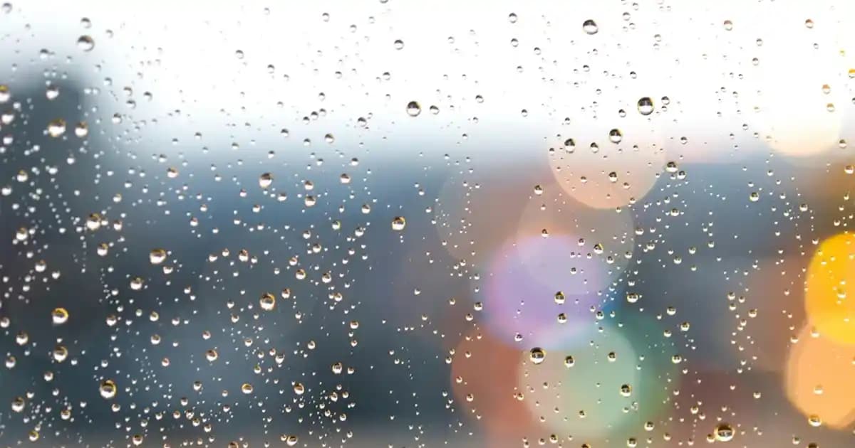 Erkek Polo Tişörtleri Modadaki Yeri ve Seçim İpuçları 2023