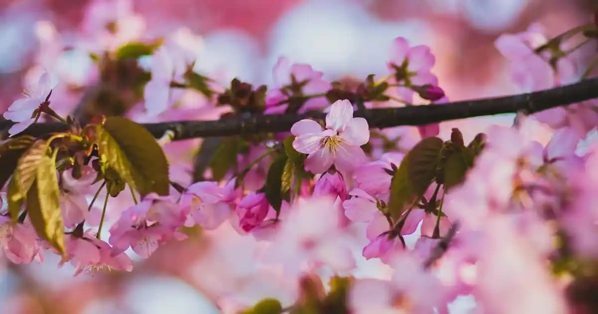Erkekler İçin Takım Elbise Pozları: Doğru Duruş ve Stil İpuçlarıyla Kendinizi Gösterin
