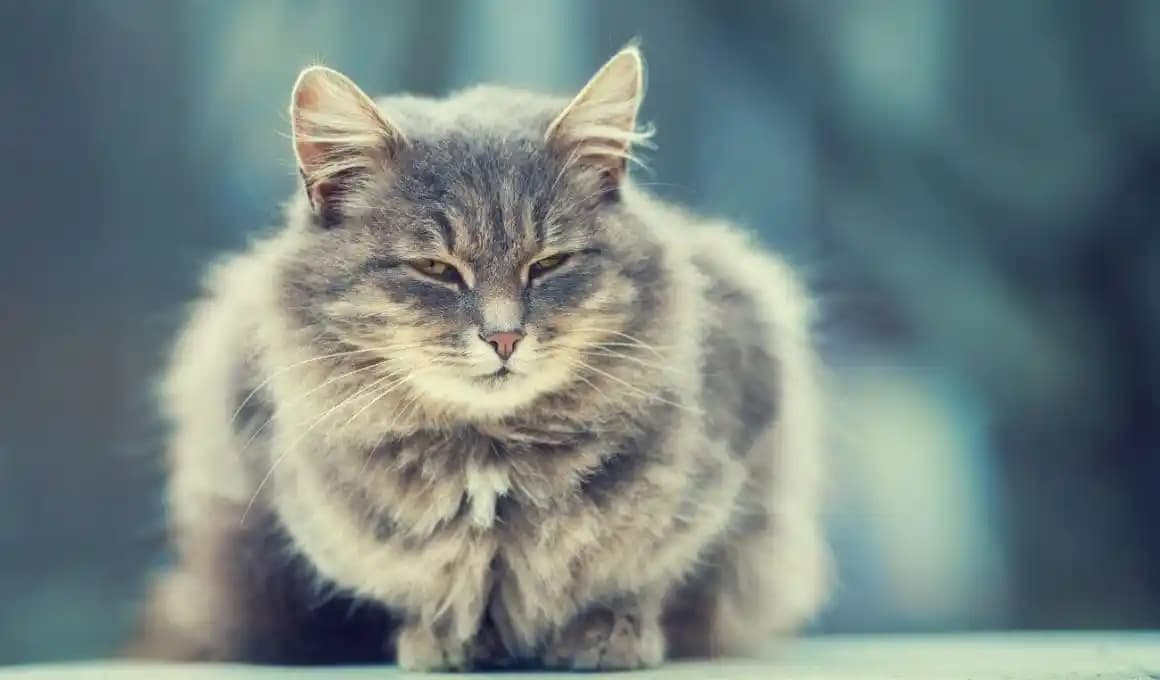 İş ve Moda: Güvenlik ve Estetiğin Birlikte Sunulduğu Modern Kıyafet Tasarımları