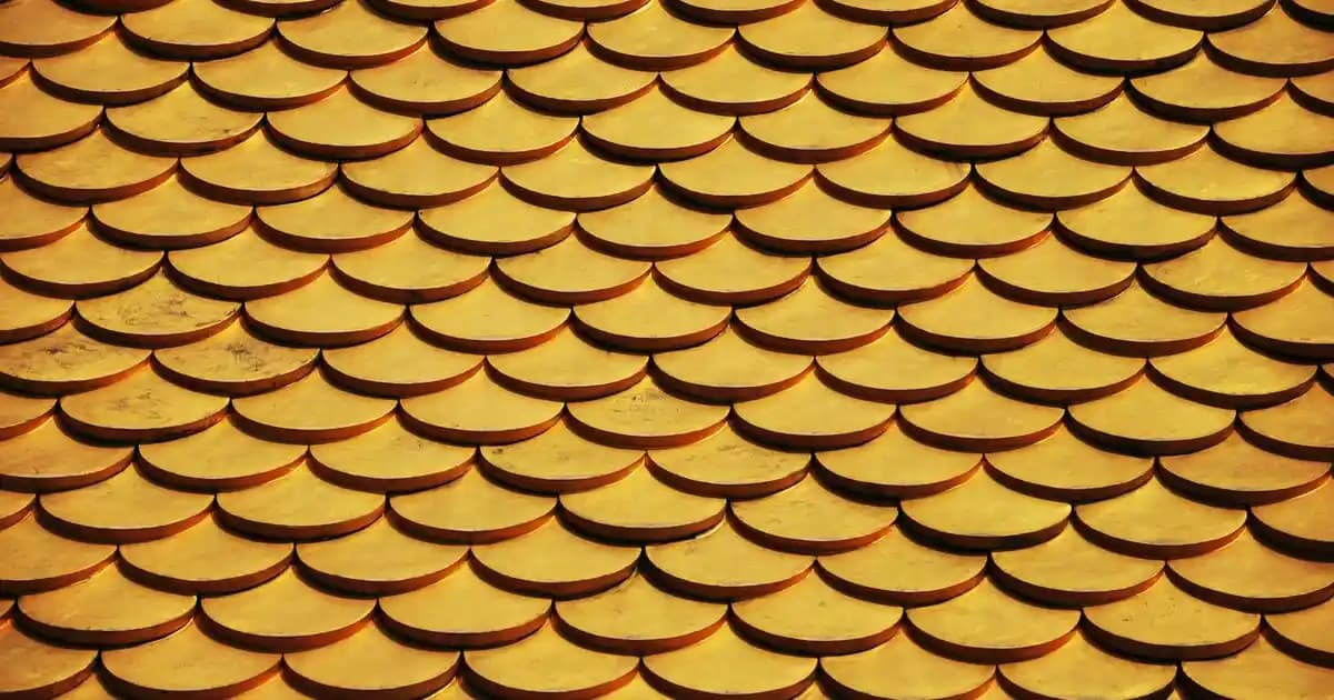 Kadın Ceketleri Modasında Güncel Trendler ve Seçim İpuçları