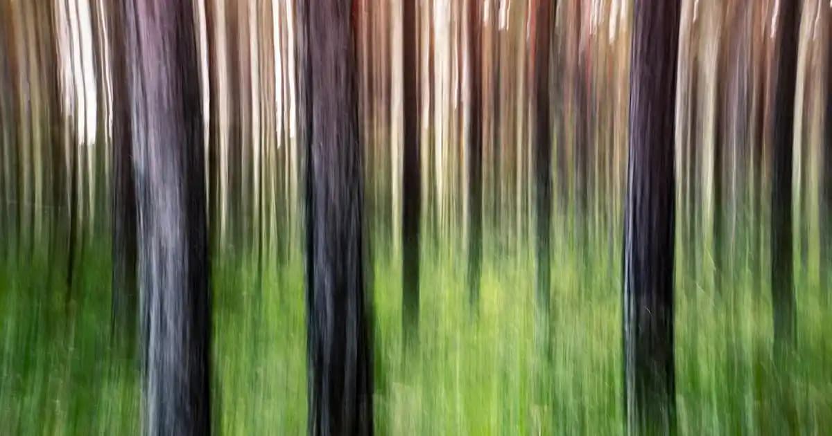 Kırmızı Bape: Moda Dünyasında Cesur Renk ve Tasarım İfadesinin Yeri ve Etkileri