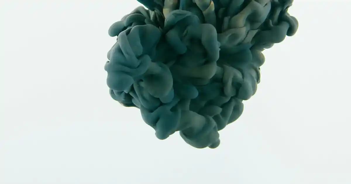 Lacoste Okul Çantası: Şıklık ve Fonksiyonelliğin Modern Buluşması