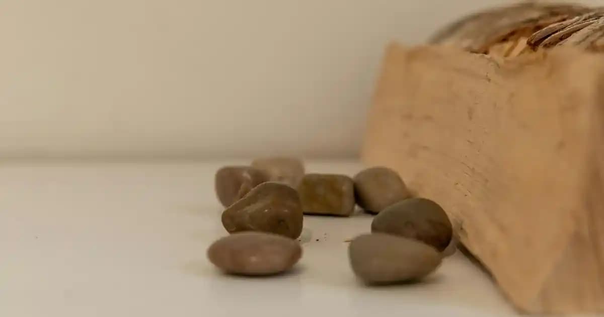 Les Benjamins Atkıları: Modern ve Şık Tasarımlarla Kış Modasında Öne Çıkın