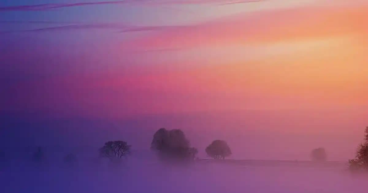 Les Benjamins Tişörtleri: Genç ve Özgün Moda İfadesi İçin Modern Tasarımlar ve Stil Önerileri