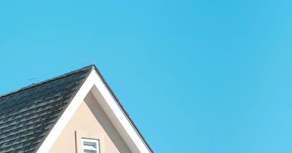 Loft Erkek Tişörtleri: Modern ve Konforlu Giyim İle Şıklık Yaratın