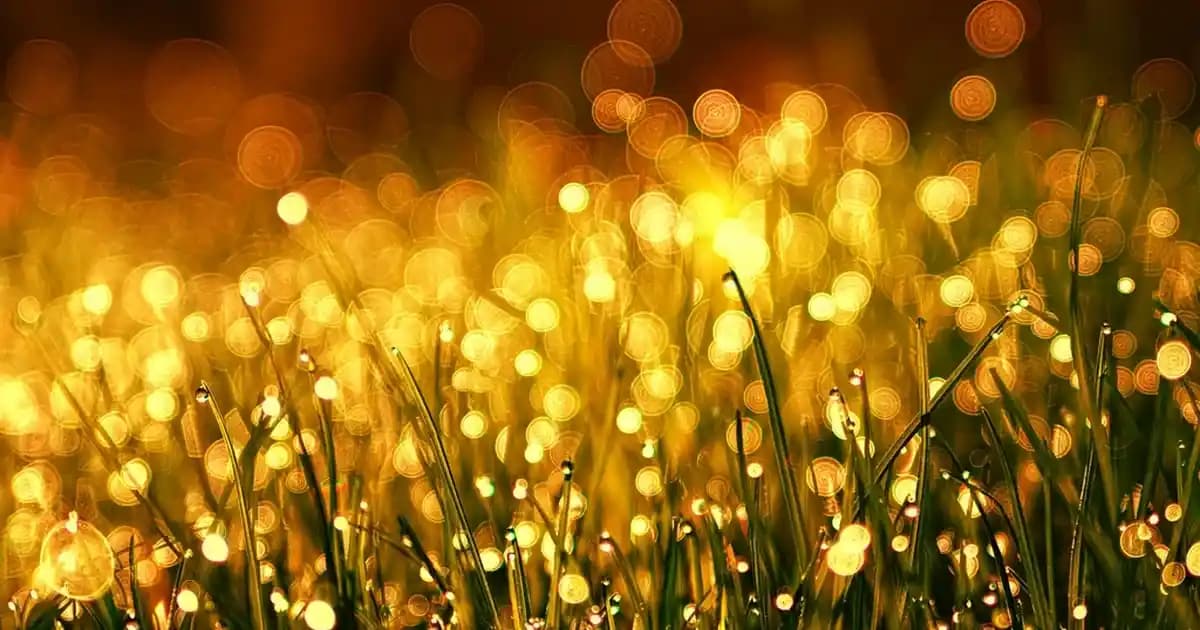 Makinede Yıkanan Şişme Montların Nasıl Düzeltilir ve Bakımı Nasıl Yapılır