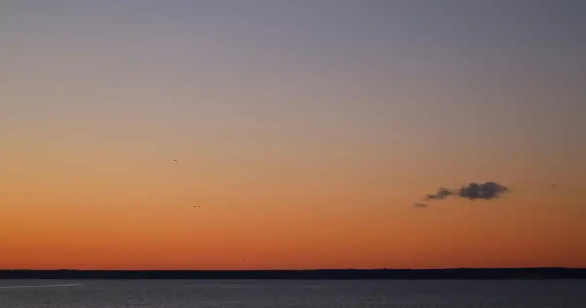 Mavi Beyaz Montlar: Modern Şıklık ve Fonksiyonellik İçin Güncel Moda Rehberi