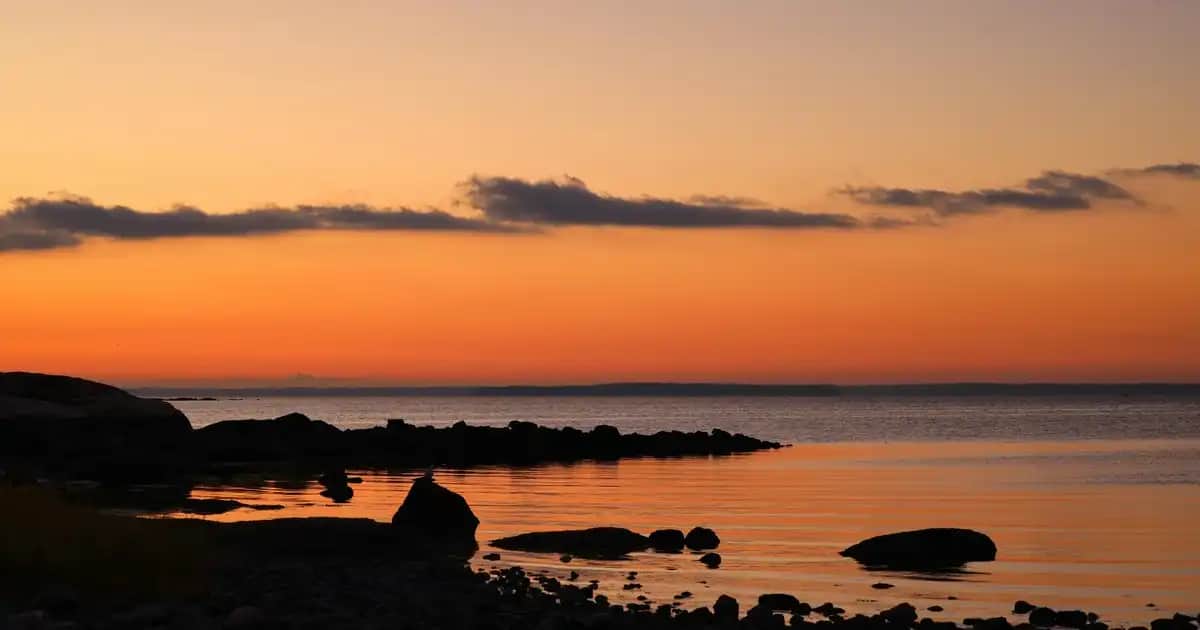 Mavi Deniz Şortu Modası ve Stil Önerileri Yaz Aylarının Vazgeçilmez Parçası