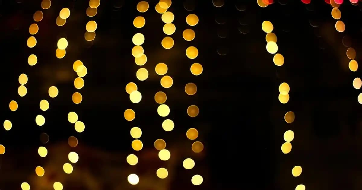 Mezuniyet Törenleri İçin Güncel ve Şık Kıyafet Seçenekleri Rehberi