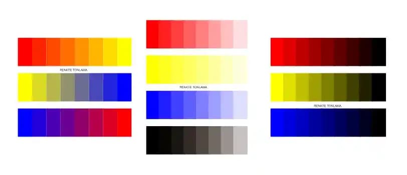 Moda Dünyasında Renk Tonlamasıyla Stilinizi Yükseltmenin Temel Yolları ve Trendler