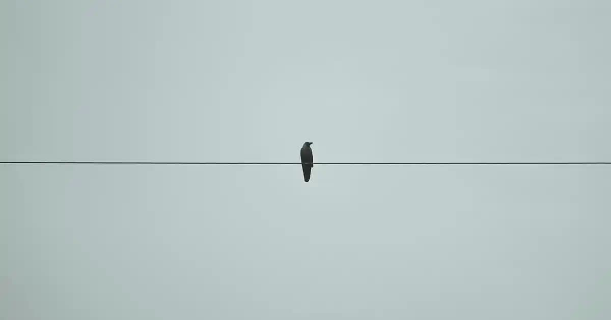 Moda Dünyasında Soks Bull Çoraplar: Stil ve Konforun Mükemmel Buluşması