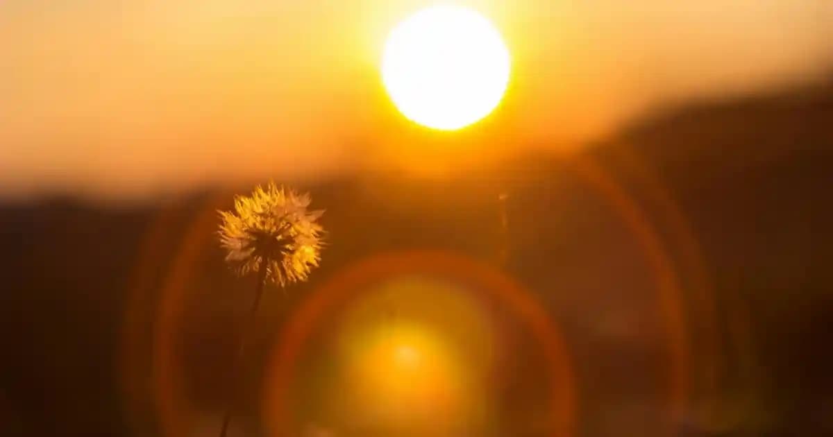 Moda Dünyasında Yenilikler ve Trendlerin Güncel Etkileri ve Geleceğe Yönelik Önemi