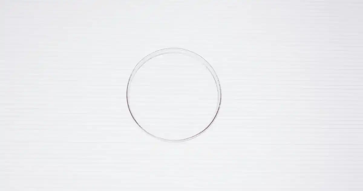 Mont Yıkama Programlarının Moda Dünyasındaki Yeri ve Doğru Bakım İpuçları