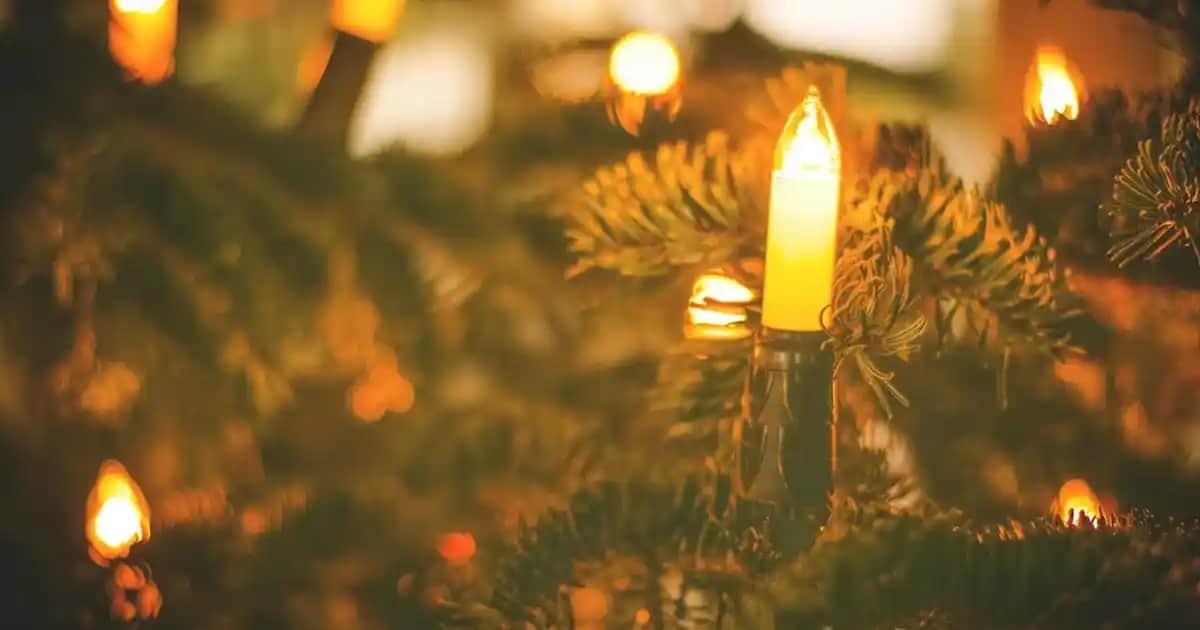 Nike Air Zoom Kramponlar Halı Saha Spor ve Moda Trendlerini Bir Arada Sunuyor