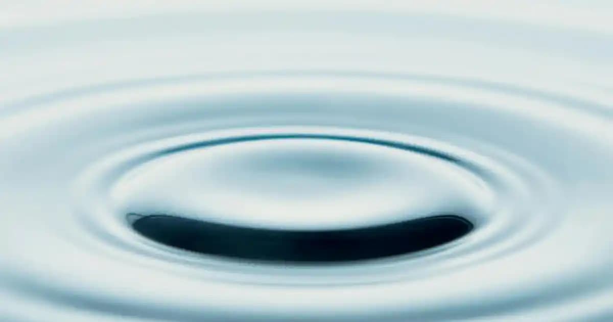 Nike Blazer Taklitleri ve Orijinal Ürünler Arasındaki Farklar ile Bilinçli Alışveriş Rehberi