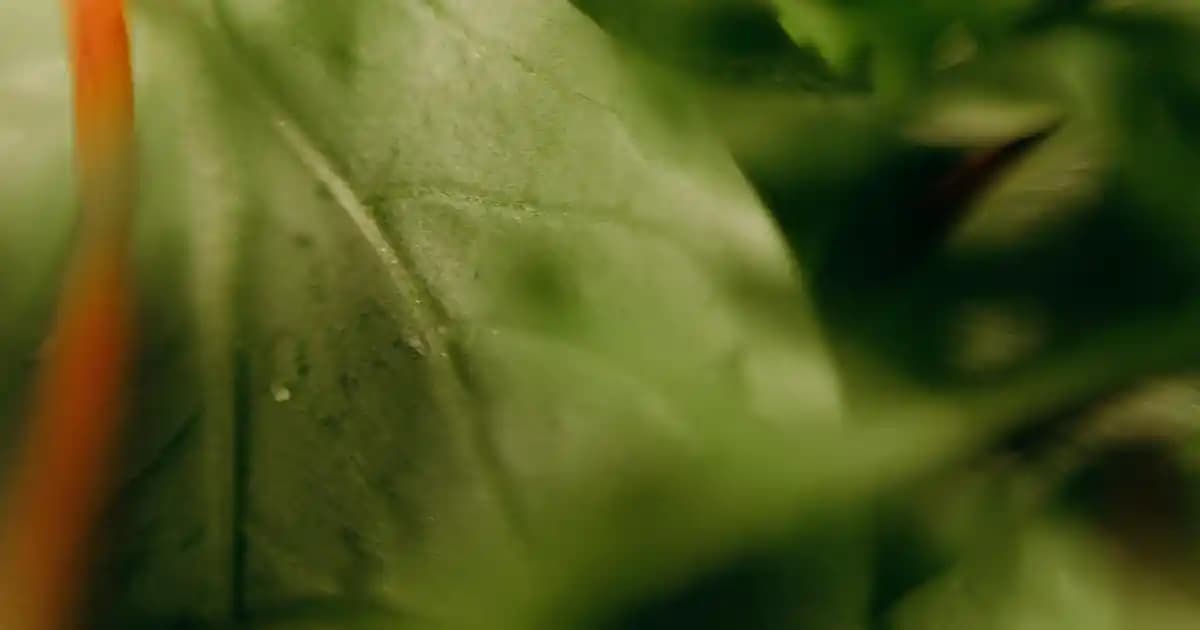 Nike Çocuk Basket Ayakkabıları: Yenilikçi Tasarımlar ve Konforlu Kullanım Özellikleri