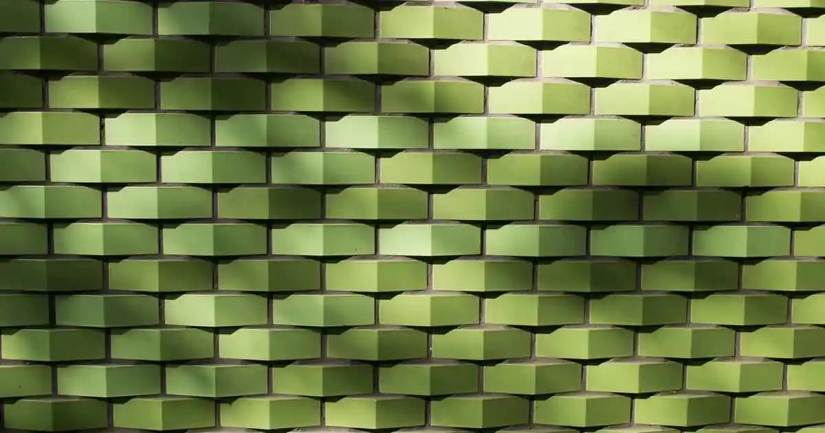 Nike Düz Taban Spor Ayakkabıları: Moda ve Konforun Bir Arada Sunulduğu Modern Tasarımlar