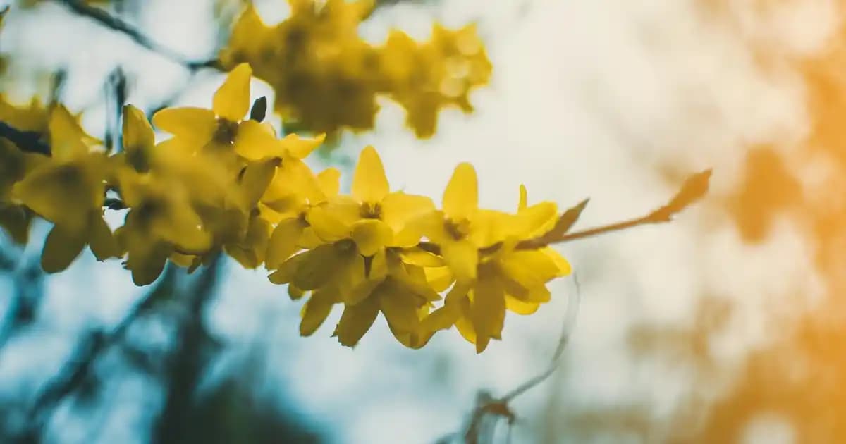 Nike Elemental Backpack: Modern Tasarımı ve Dayanıklılığıyla Günlük Kullanım İçin Ideal Çanta