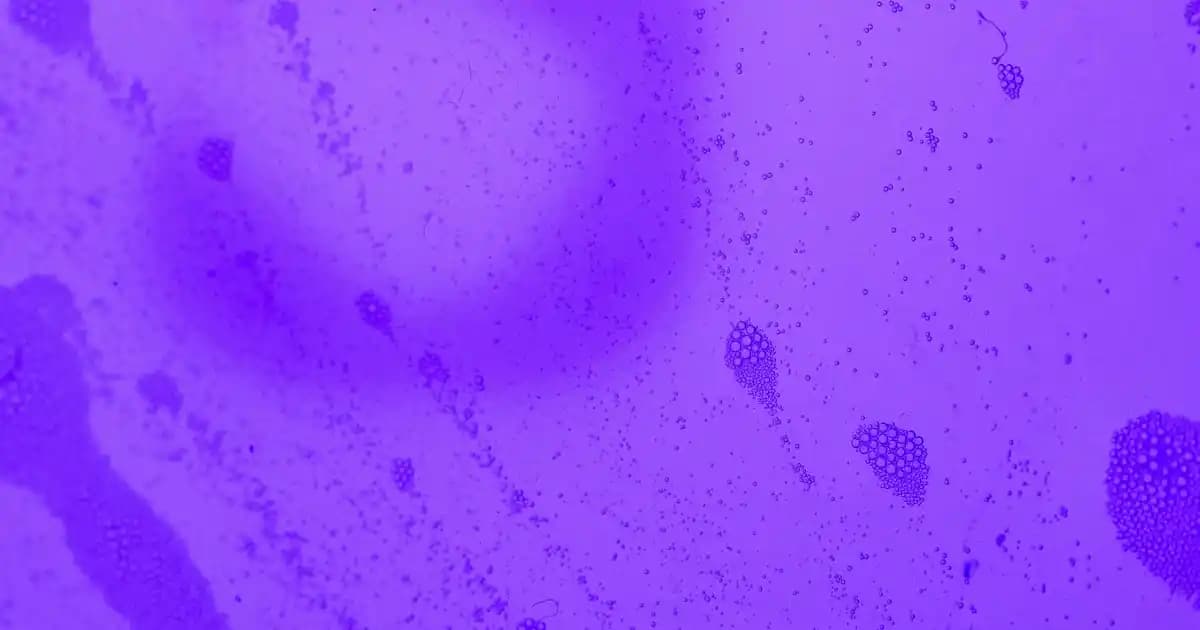 Nike Spor Giyim Eşofmanları: Modern Tasarımlar ve Yüksek Kaliteyle Günlük ve Spor Kullanımına Uygun