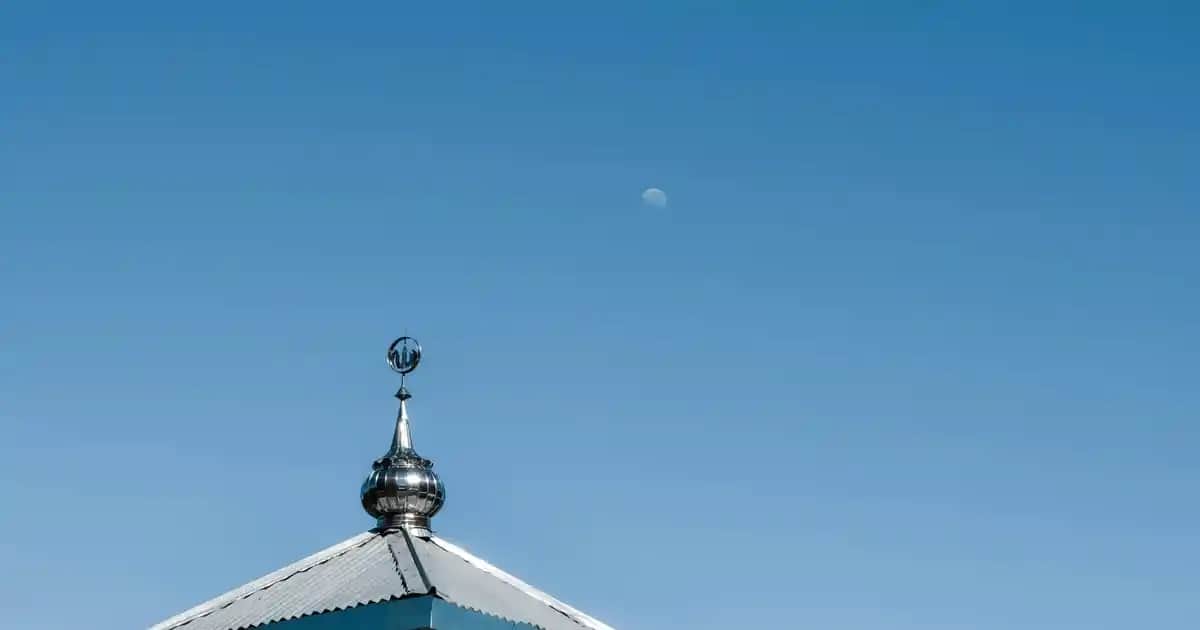 Panda Ayakkabıları Moda Dünyasında Yenilikçi ve Sürdürülebilir Trendler Arasında Yerini Alıyor