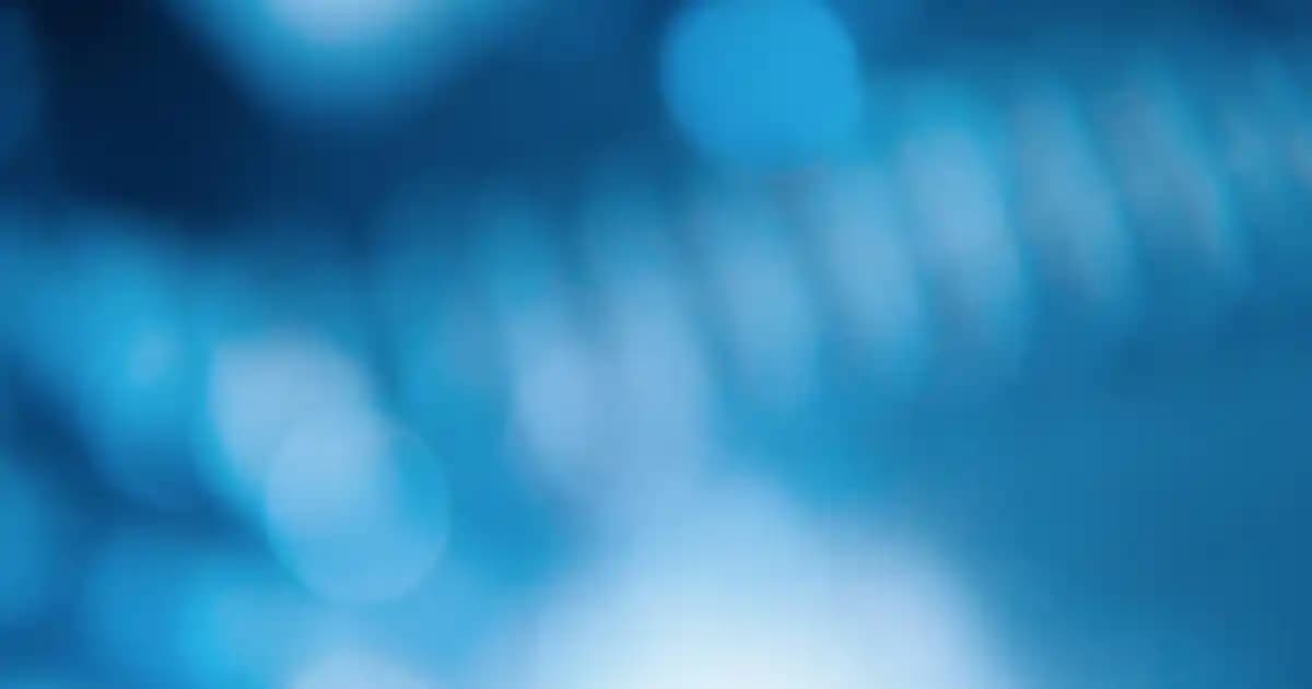 Parka Mont Modasında Güncel Trendler ve Kombinasyon İpuçları