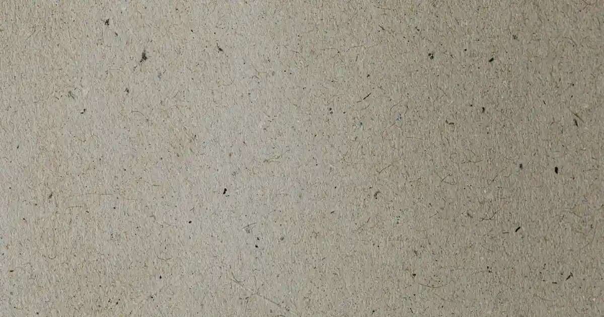 Plastik Erkek Terlikleri: Moda ve İşlevselliği Bir Arada Sunan Uygun Fiyatlı Seçenekler