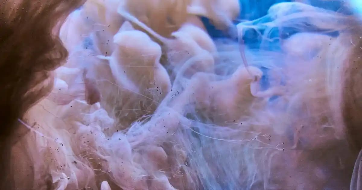 Polar Fermuarlı Hırka Modası ve Kombinasyon İpuçlarıyla Kışa Şıklık Katın