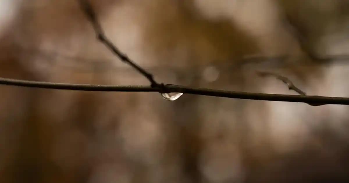 Puma 41 Numara Erkek Ayakkabıları: Moda ve Konforun Mükemmel Buluşması