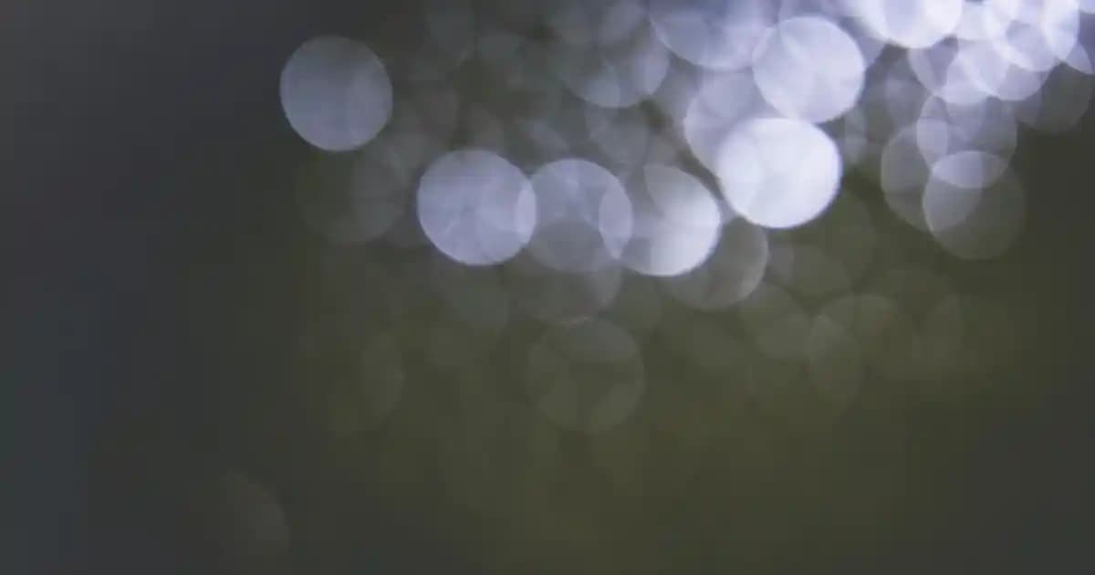 Puma Classics Kadın Siyah Ceket: Zamansız Şıklık ve Çok Yönlü Kullanım İmkanı