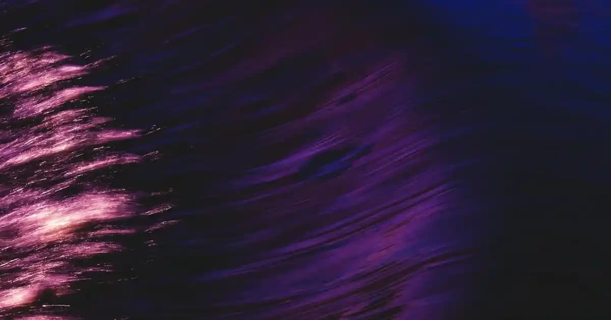 Puma’nın Hayvan Temalı Ayakkabıları: Moda ve Doğa Buluşması