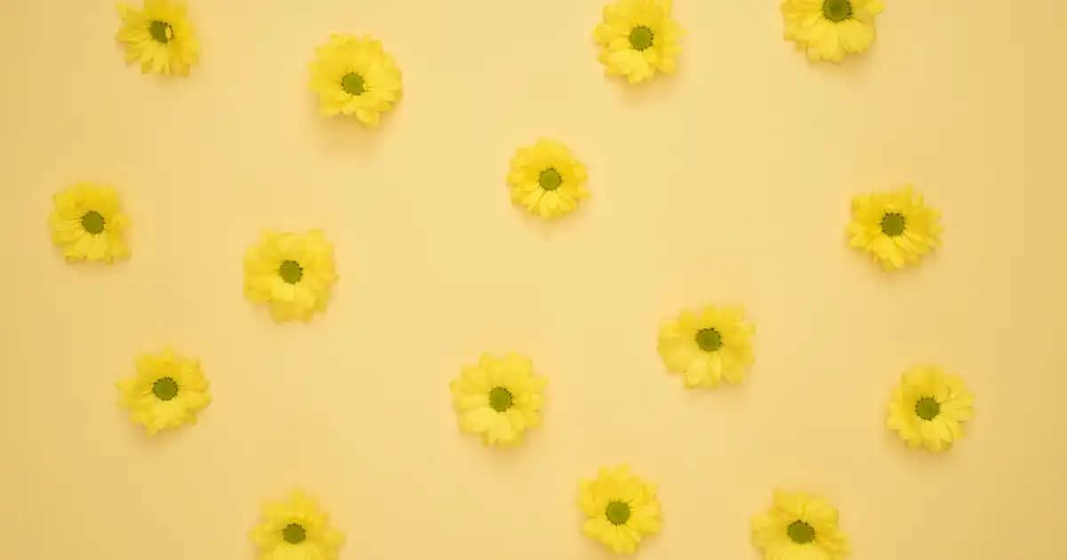 Rahat ve Şık: Günümüz Modasında Rahat Pantolonların Tercih Edilme Nedenleri ve Trendleri