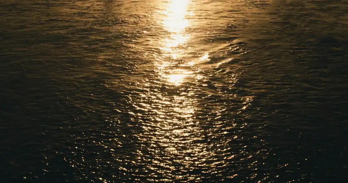 Renkli Kazaklar Moda Dünyasında Canlılık ve Şıklık Yaratıyor