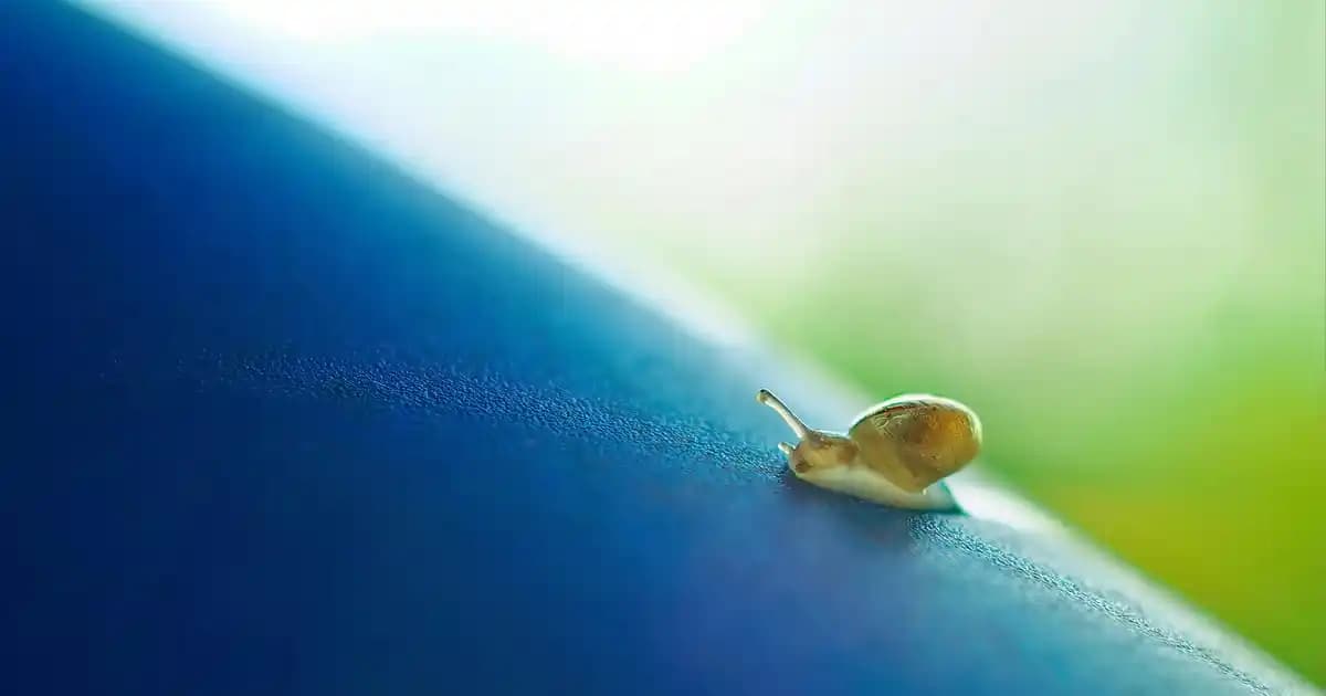 Şeffaf UGG Modası: Modern Tasarım ve Trendlerdeki Yeri Hakkında Detaylı Bilgi