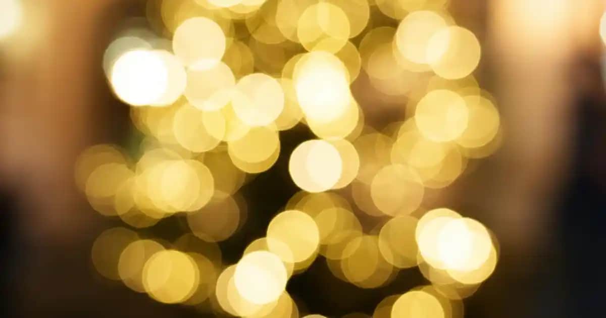 Shrek Temalı Crocs Terlikler: Moda ve Eğlenceyi Bir Arada Sunan Rahat Tasarımlar