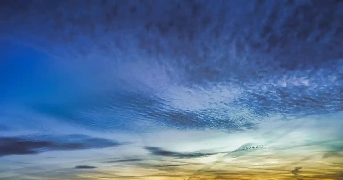 Siyah Beyaz Damatlıklar: Klasik ve Modern Tarzlarla Zarif Düğün Giyim Seçenekleri