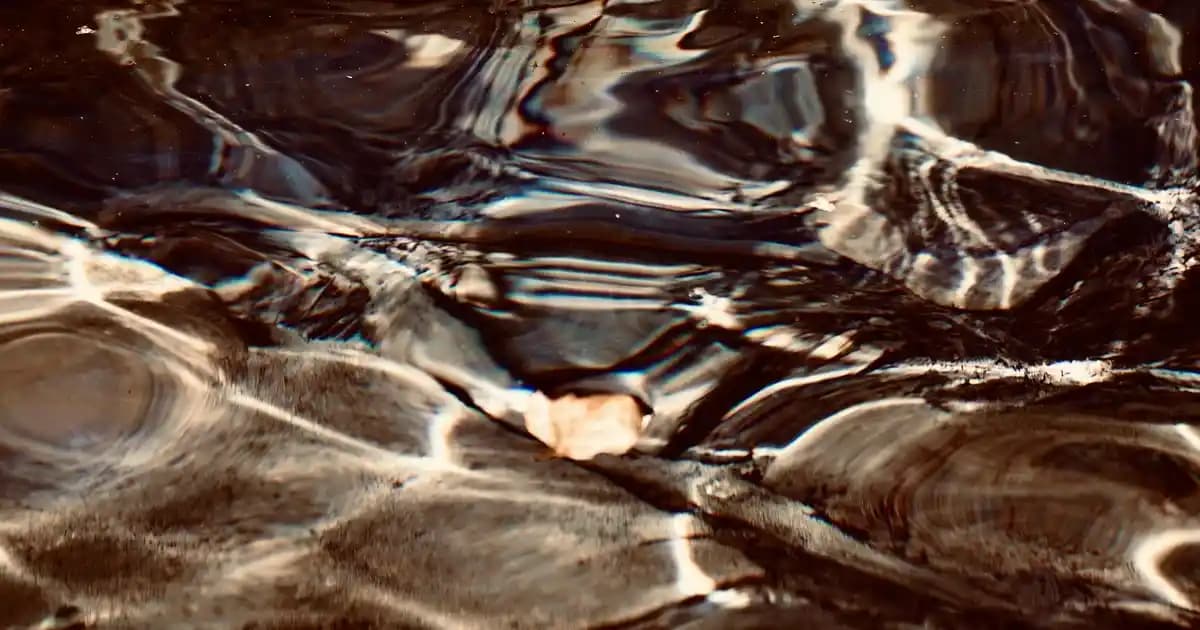 Siyah Taşlı Ceketler: Moda Dünyasında Zarafet ve Şıklığın Temsilcisi