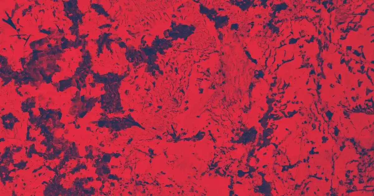 Skateboard ve Moda: Sokak Stilinde Özgünlük ve Güncel Trendler Analizi