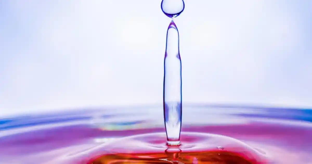 Skechers D'Lites Kahverengi ile Güncel Moda ve Konforu Bir Arada Yakalayın