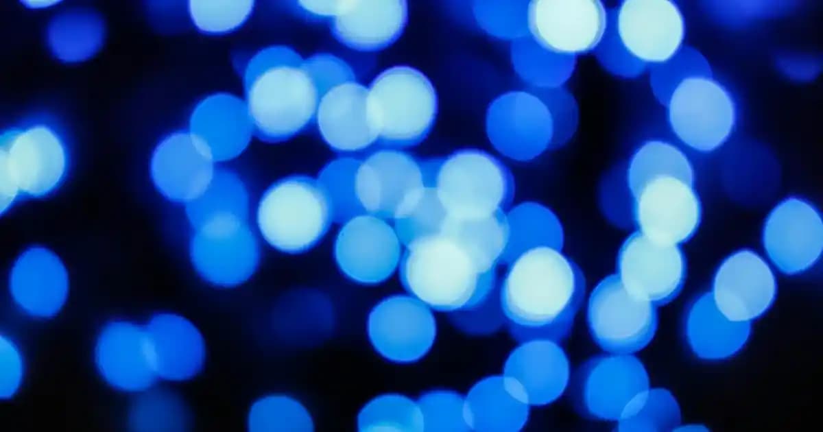 Slim Mayo Modasında Güncel Trendler ve Şık Stil Yaratma İpuçları