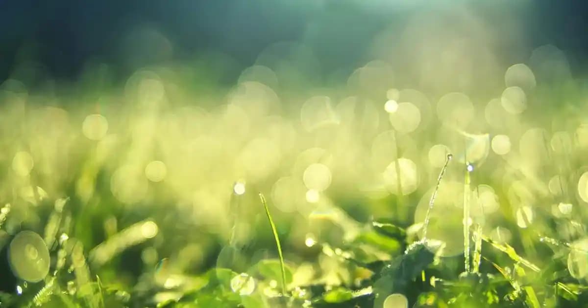 Slimfit Modası: Günümüz Trendlerinin Vazgeçilmez Parçası ve Stil İpuçları