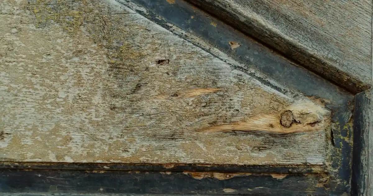 Sütlü Kahve Rengi Moda ve Stil Uyumu: Güncel Trendler ve Kombinasyon Tavsiyeleri