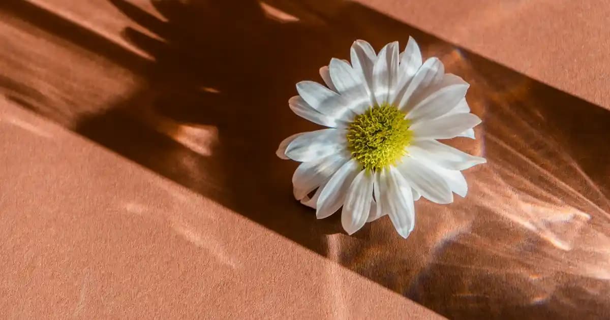 T-shirt Boyama Sanatıyla Kendi Tarzınızı Yaratmanın Modern Yolu