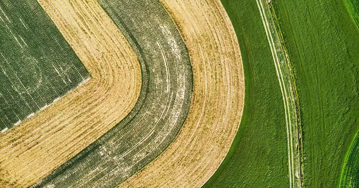 Takım Elbise ve Ayakkabısı Seçimiyle Şıklığı ve Zarafeti Artırma Rehberi