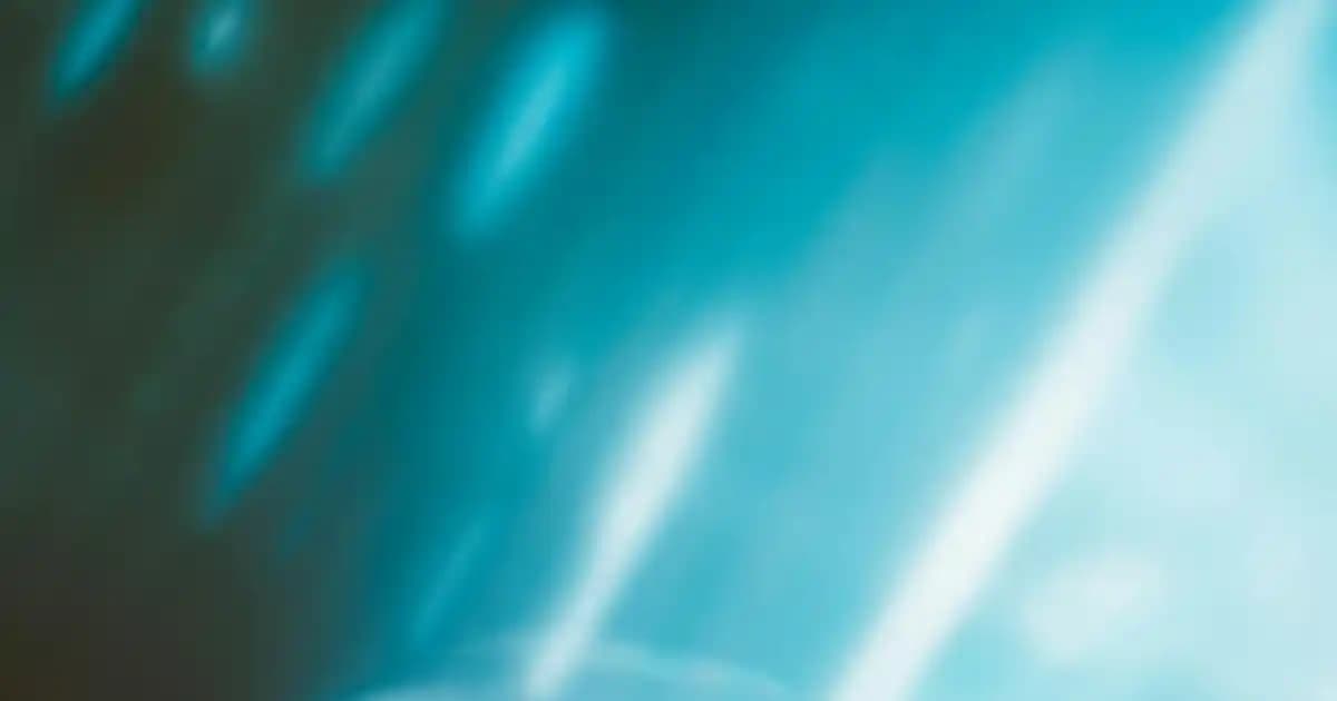 Tommy Hilfiger Sarı Çantalar Moda Dünyasında Güncel Trendler ve Stil İpuçları